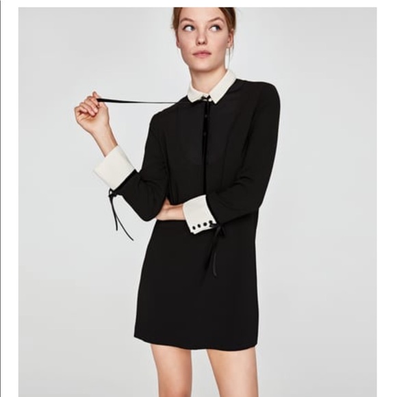 zara black dress with white collar